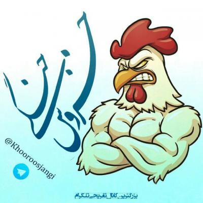 معرفی کانال های تلگرام معرفی کانال های تلگرام