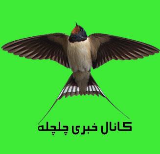 کانال خبری چلچله