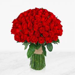 کانال ایتا فروش گل های اپارتمان